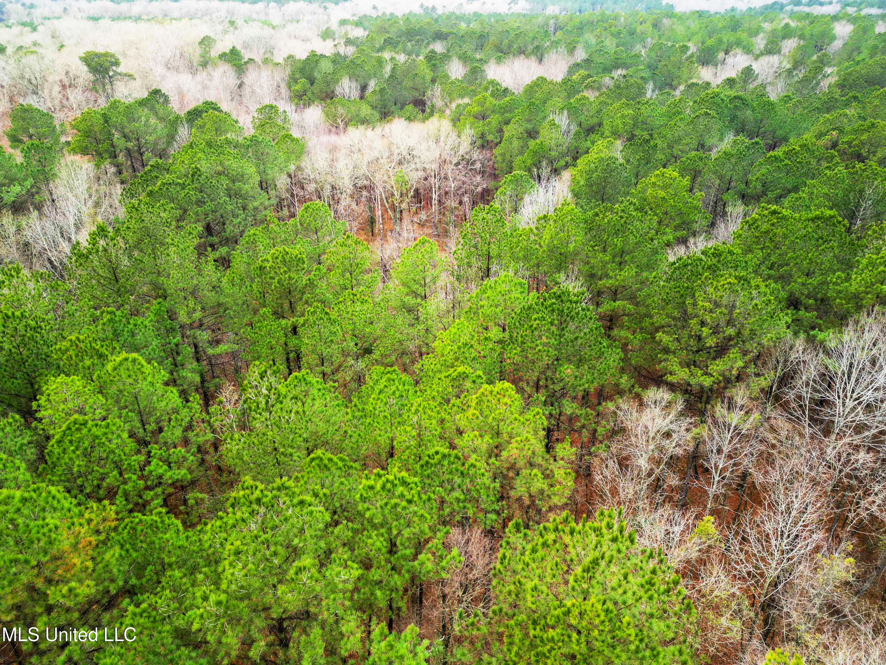 Mullican Road Florence, MS 39073 - Photo 13 of 19 Mulican Rd Florence-13