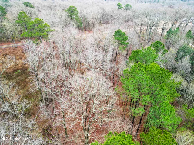 $87,500 | Mullican Road, Florence, MS 39073