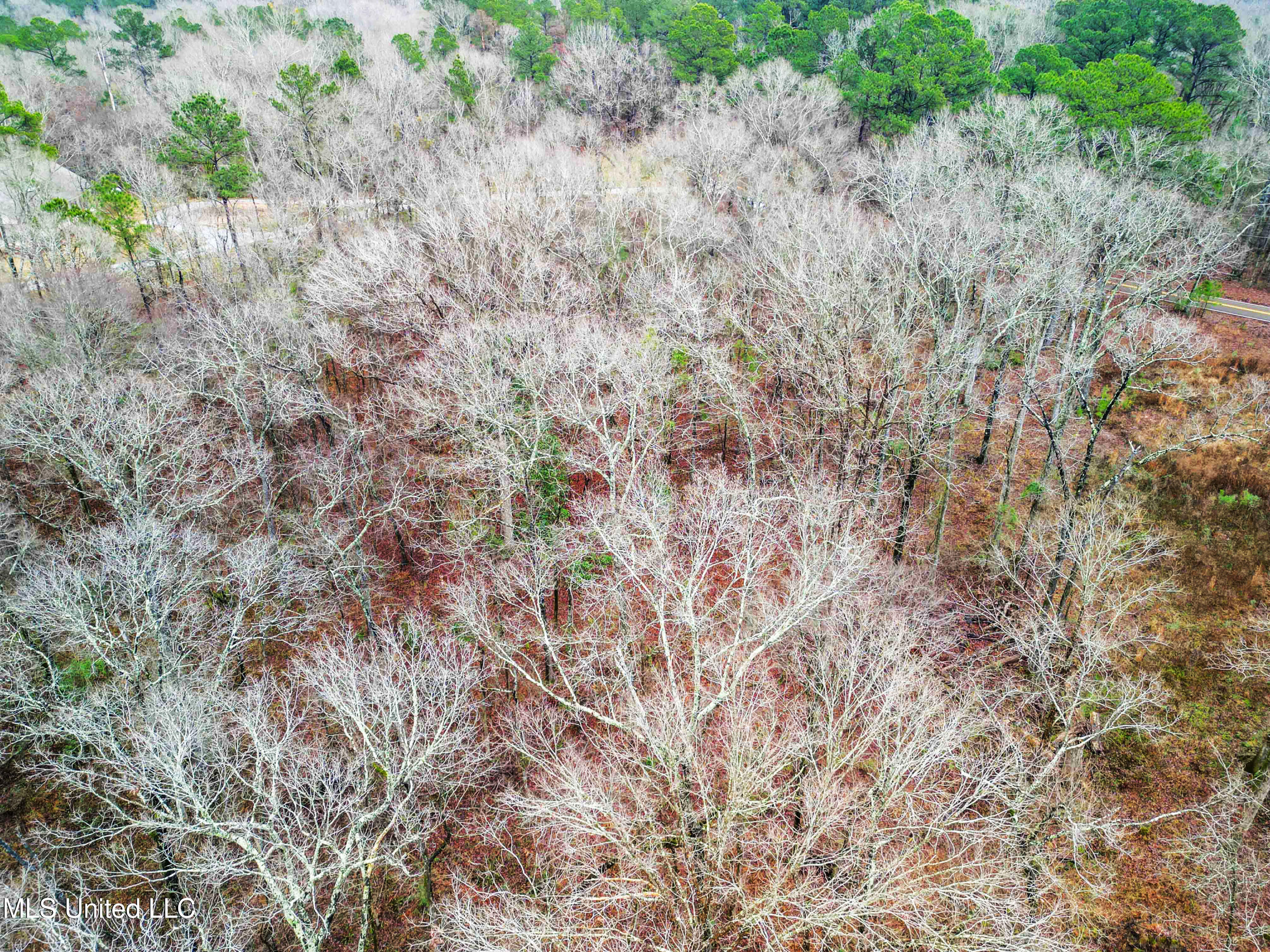 Mullican Road Florence, MS 39073 - Photo 15 of 19 Mulican Rd Florence-15