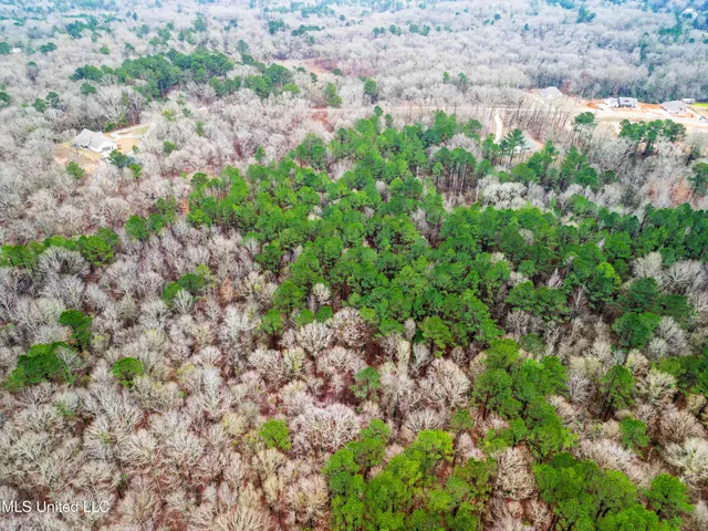 $87,500 | Mullican Road, Florence, MS 39073