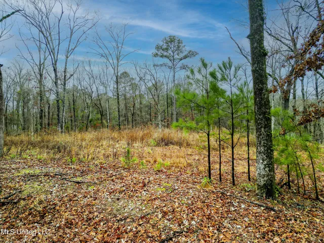 $87,500 | Mullican Road, Florence, MS 39073
