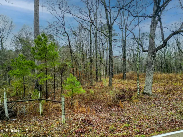 $87,500 | Mullican Road, Florence, MS 39073