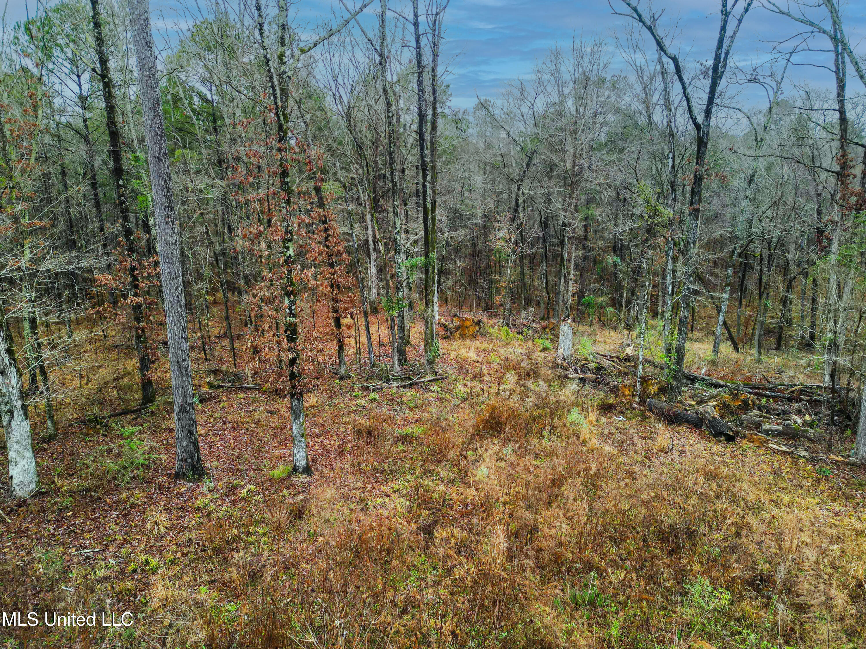 Mullican Road Florence, MS 39073 - Photo 5 of 19 Mulican Rd Florence-5