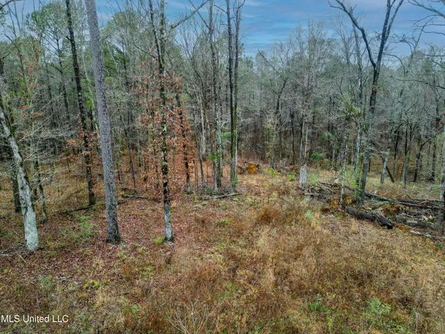 $87,500 | Mullican Road, Florence, MS 39073