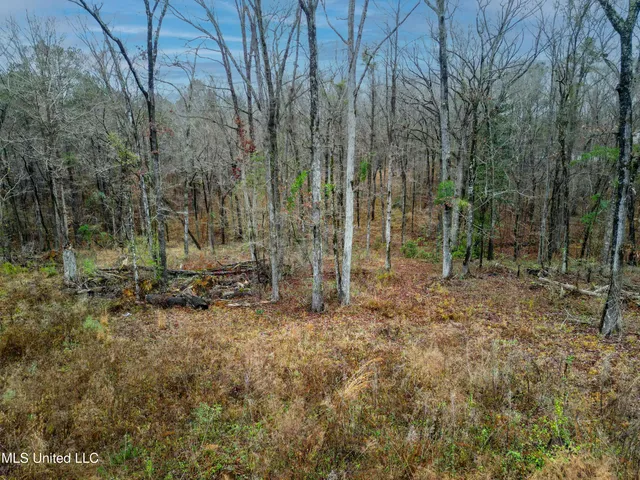 $87,500 | Mullican Road, Florence, MS 39073