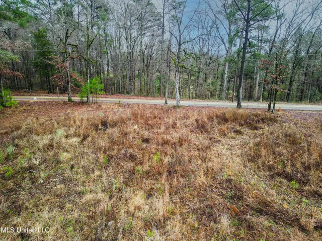 $87,500 | Mullican Road, Florence, MS 39073