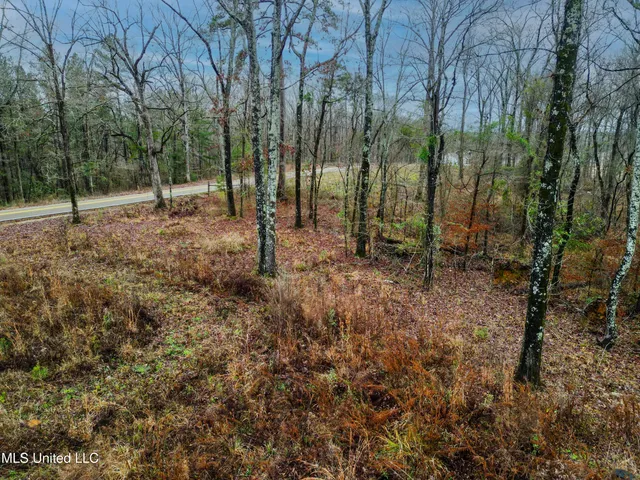 $87,500 | Mullican Road, Florence, MS 39073