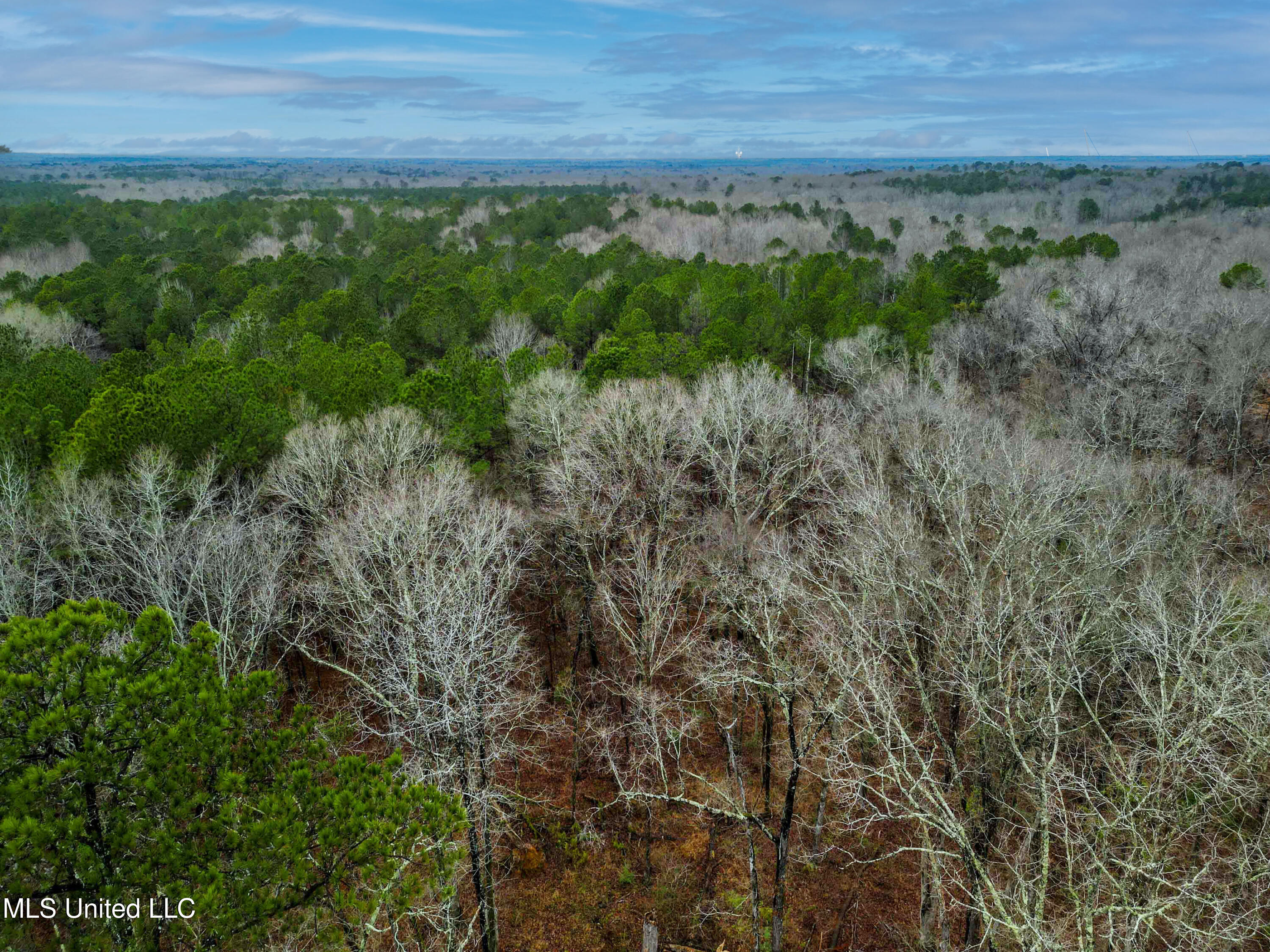 Mullican Road Florence, MS 39073 - Photo 10 of 19 Mulican Rd Florence-10