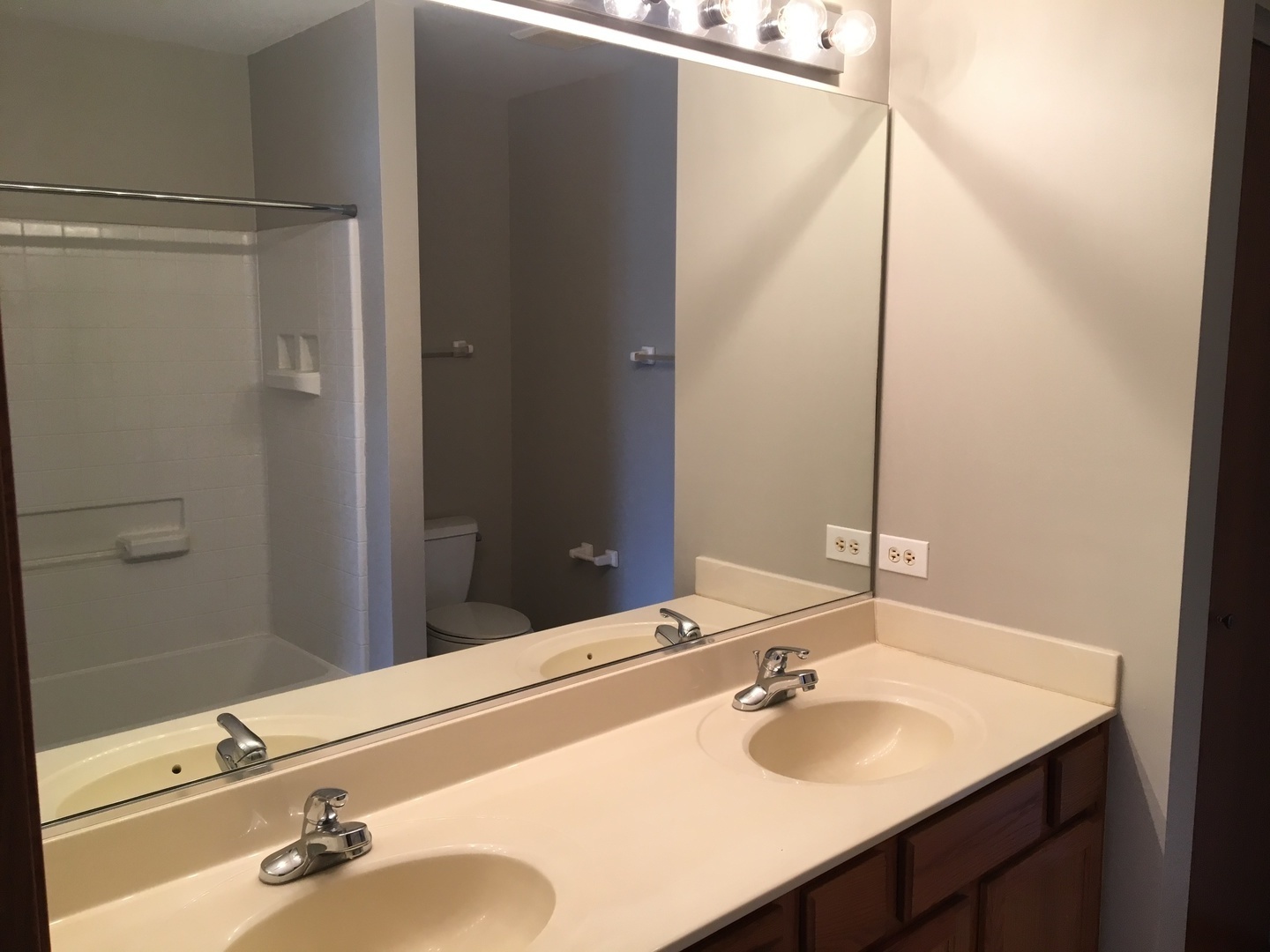 Undisclosed Address Round Lake, IL 60073 - Photo 15 of 29 a bathroom with a sink and a mirror