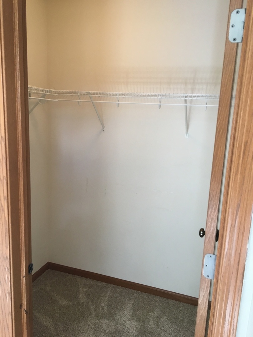Undisclosed Address Round Lake, IL 60073 - Photo 19 of 29 a close view of closet