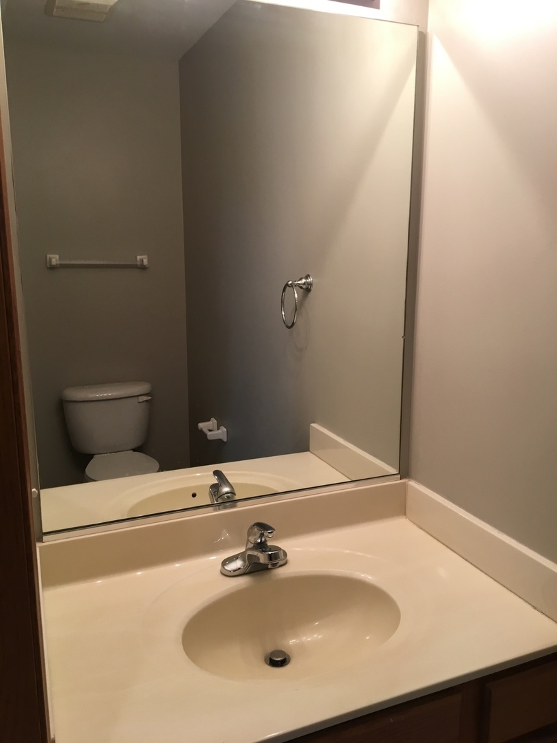 Undisclosed Address Round Lake, IL 60073 - Photo 9 of 29 a bathroom with a sink and a mirror