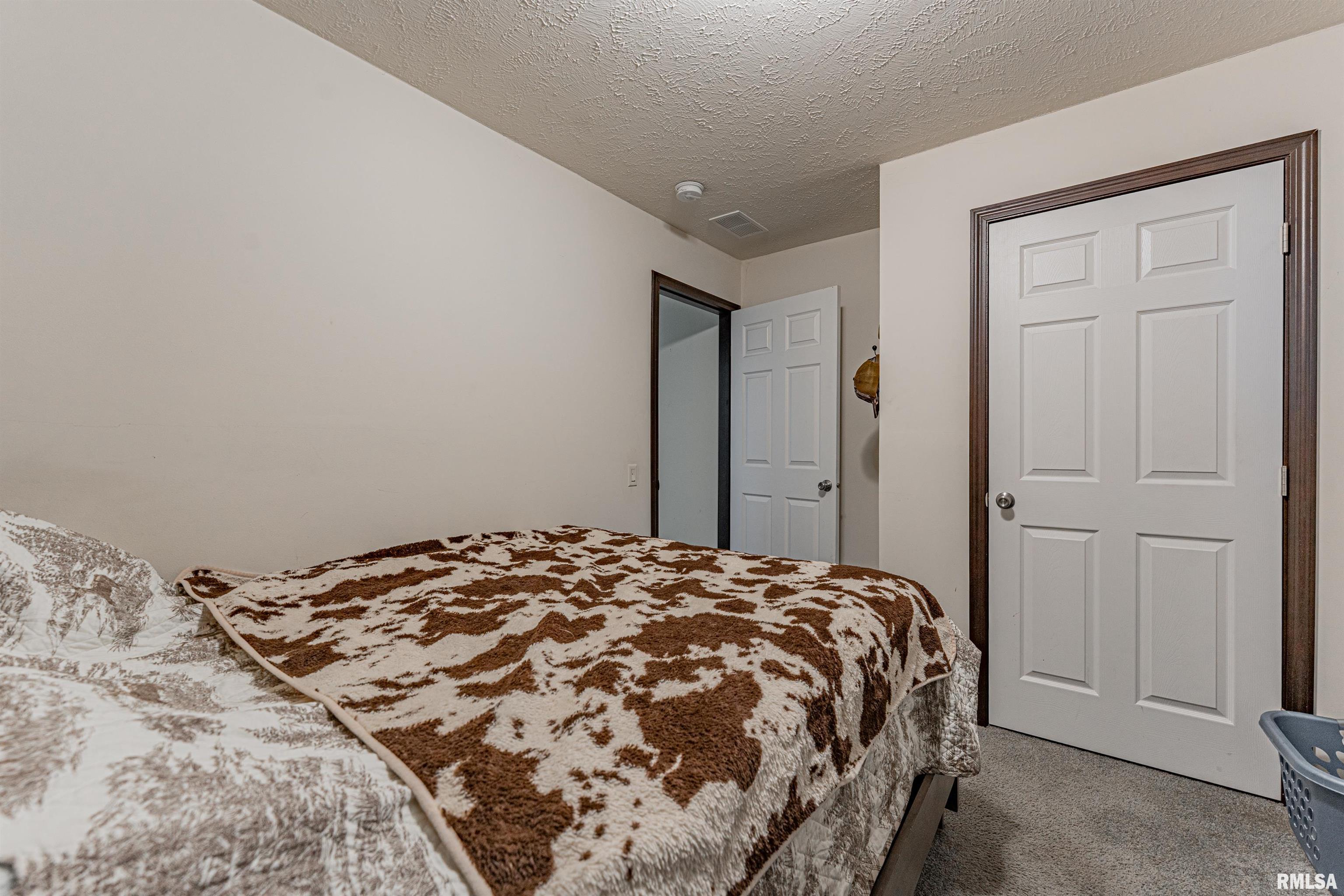 15907 Herrin Road Buffalo, IL 62515 - Photo 18 of 25
