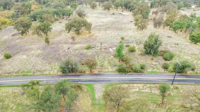 a view of a floor to ceiling window and trees