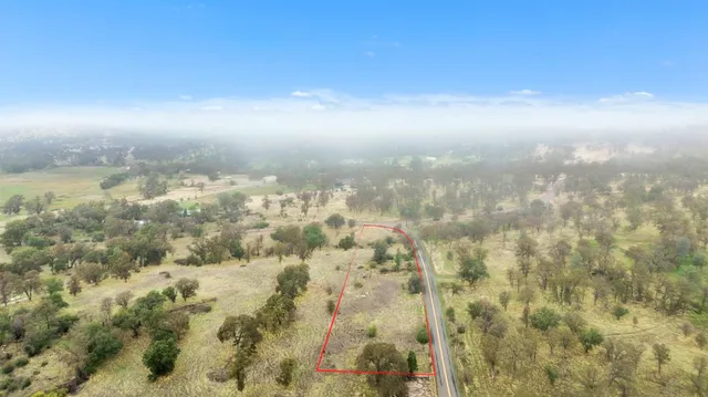 a view of a yard with trees