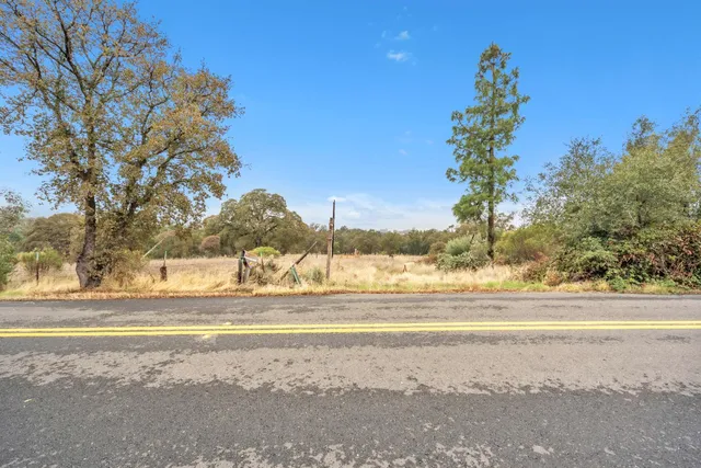 a view of a yard with a tree