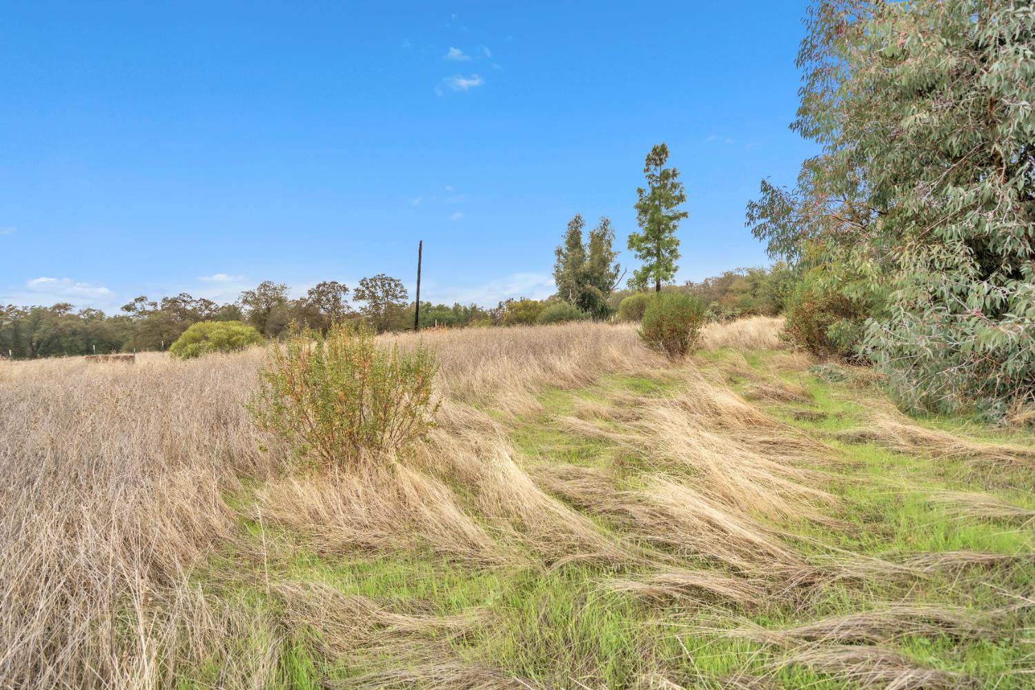 12578 Scott Grant Road Marysville, CA 95901 - Photo 28 of 37 a view of lake and mountain