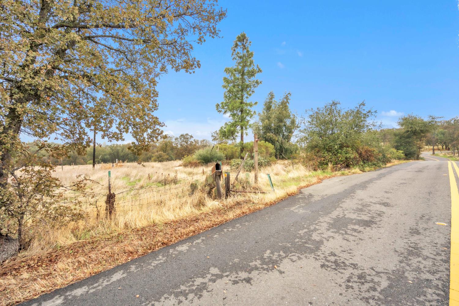 12578 Scott Grant Road Marysville, CA 95901 - Photo 31 of 37 a view of a yard with trees