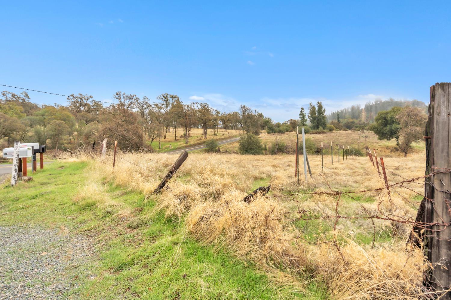 12578 Scott Grant Road Marysville, CA 95901 - Photo 35 of 37 a view of a yard with a tree