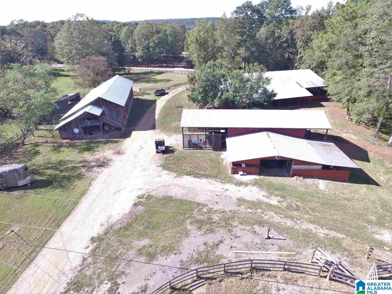 8460 Wolf Creek Road South Pell City, AL 35128 - Photo 35 of 49