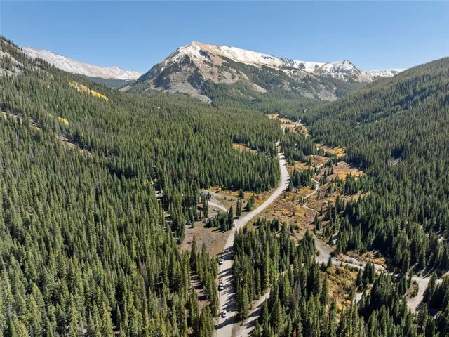 a view of a forest with a lush green forest