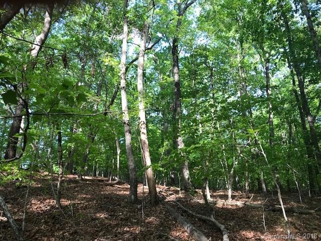 2355 Landrum Mill Road Campobello, SC 29322 - Photo 5 of 8