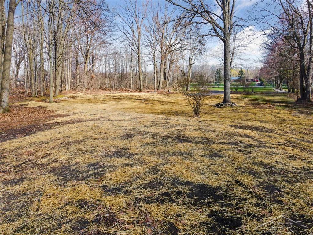 12537 Frost Road Hemlock, MI 48626 - Photo 8 of 21