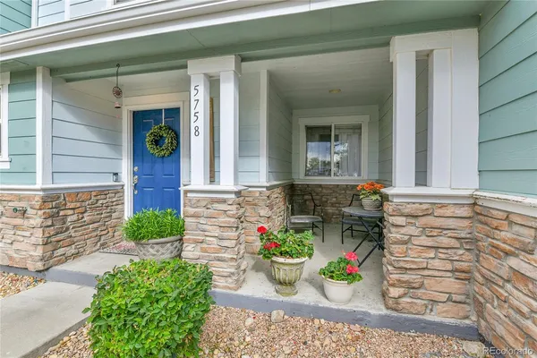 view of front door of house with potted plant