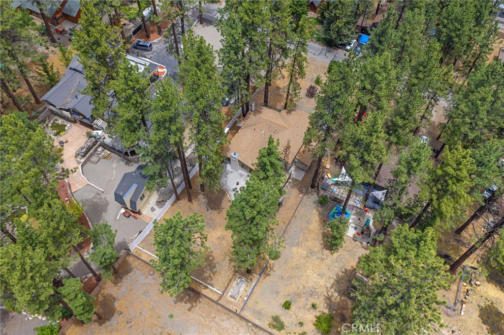 1197 Oriole Road Wrightwood, CA 92397 - Photo 56 of 57
