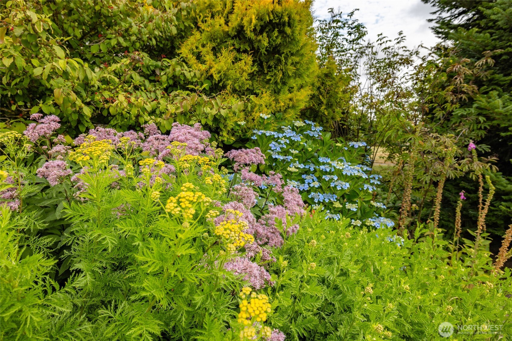14142 Laconner Whitney Road La Conner, WA 98257 - Photo 9 of 40