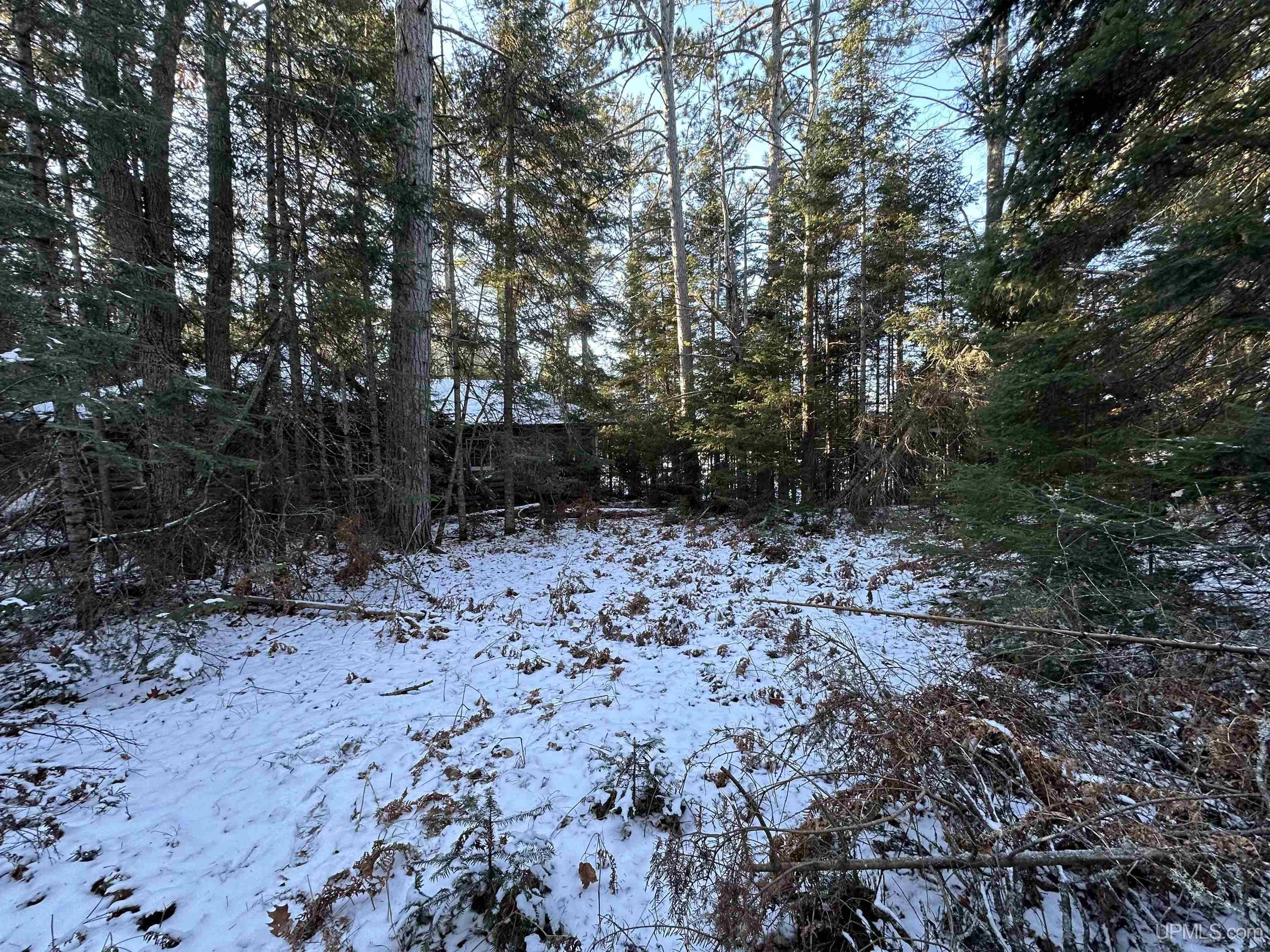 0 Ponozzo Road Iron River, MI 49935 - Photo 17 of 47 Gallery Image 17