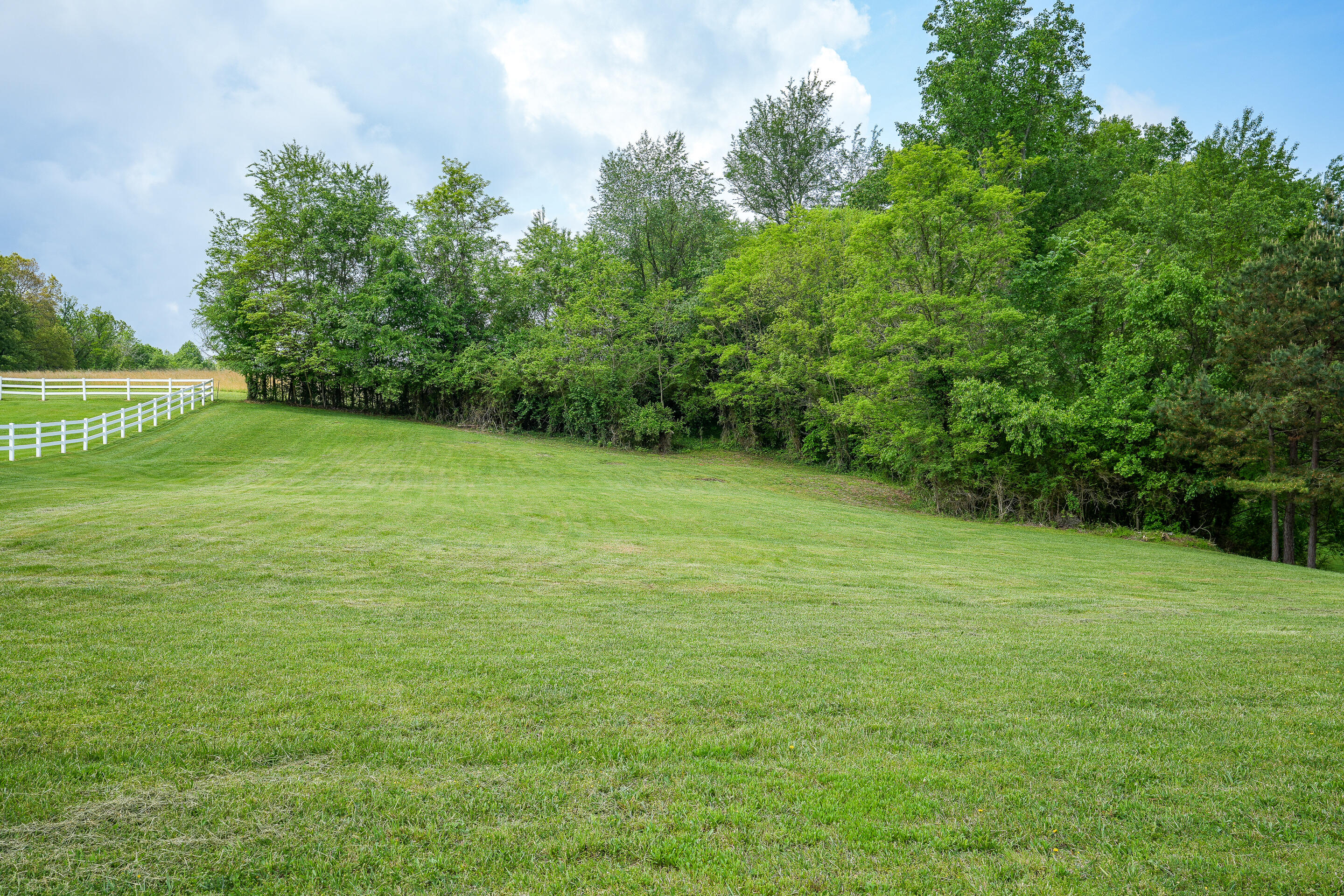 Tbd Walnut Grove Road, Unit 21 Greeneville, TN 37743 - Photo 1 of 22 lot-10