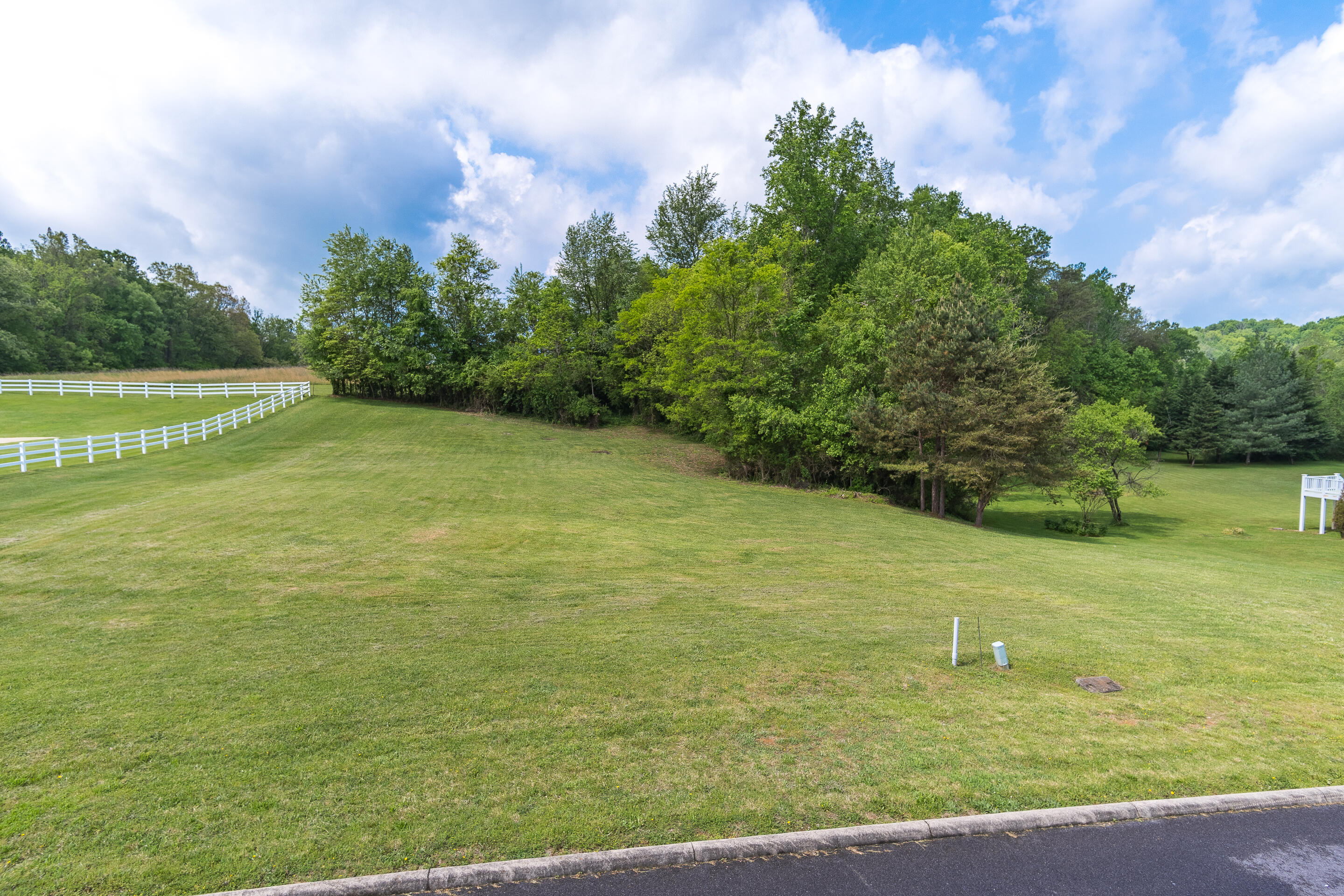 Tbd Walnut Grove Road, Unit 21 Greeneville, TN 37743 - Photo 3 of 22 lot-2