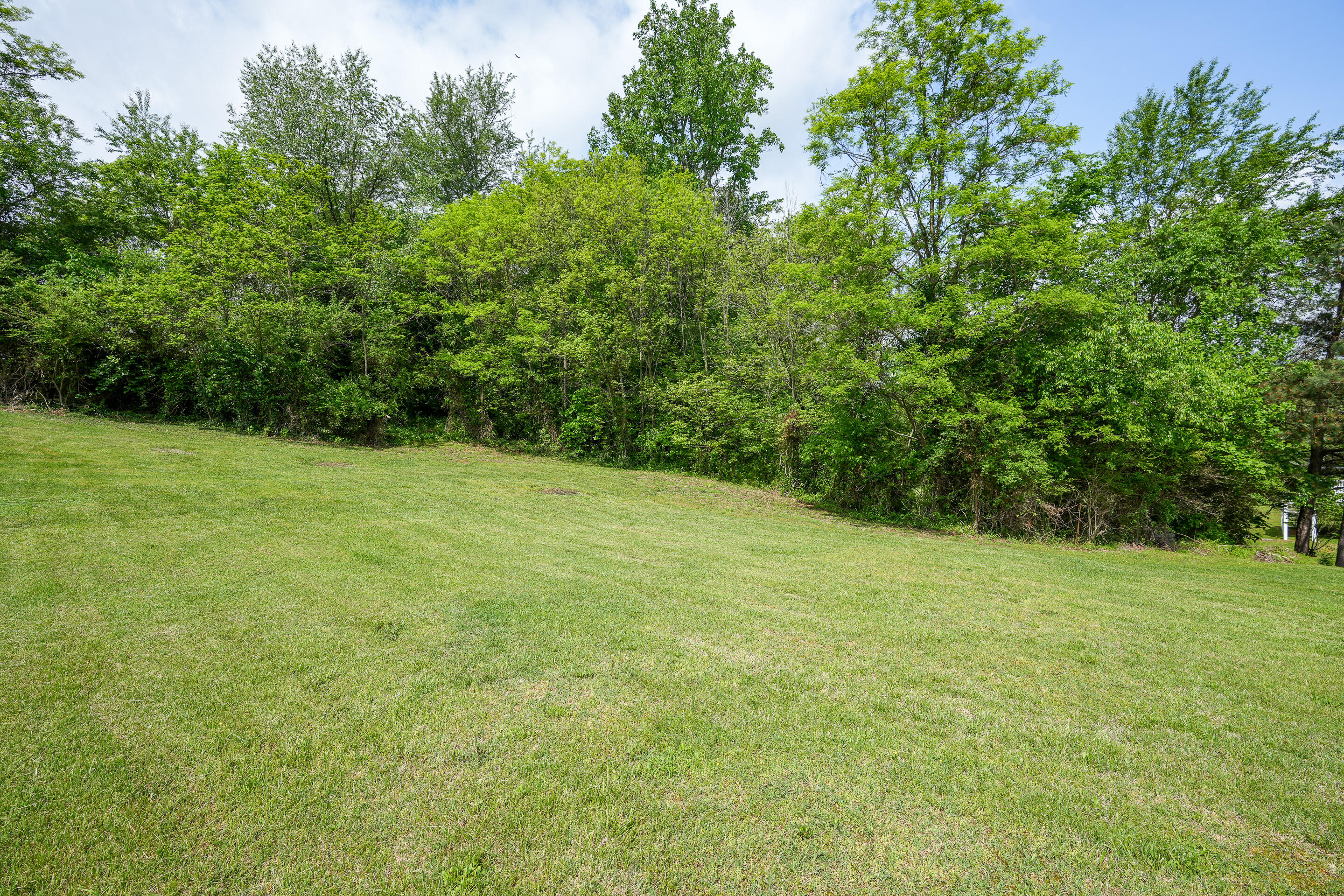 Tbd Walnut Grove Road, Unit 21 Greeneville, TN 37743 - Photo 4 of 22 lot-23