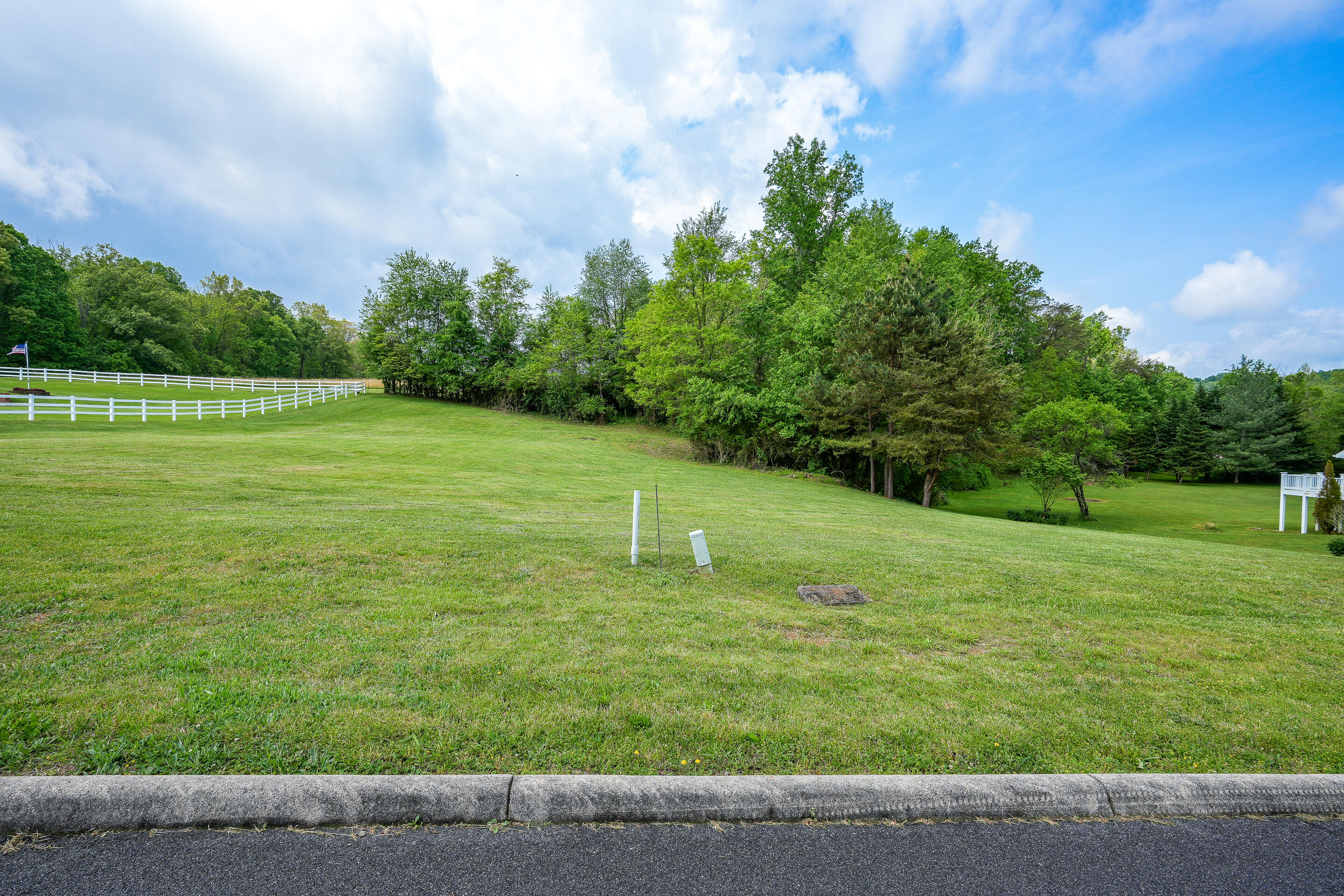 Tbd Walnut Grove Road, Unit 21 Greeneville, TN 37743 - Photo 5 of 22 lot-11