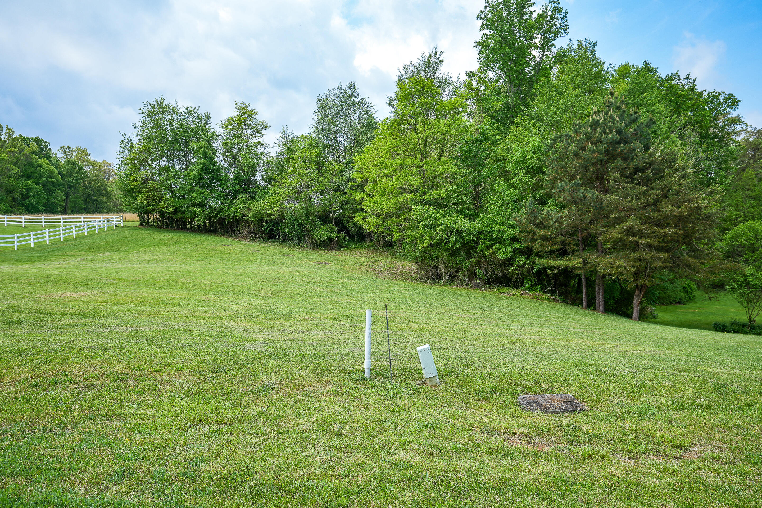Tbd Walnut Grove Road, Unit 21 Greeneville, TN 37743 - Photo 6 of 22 lot-12