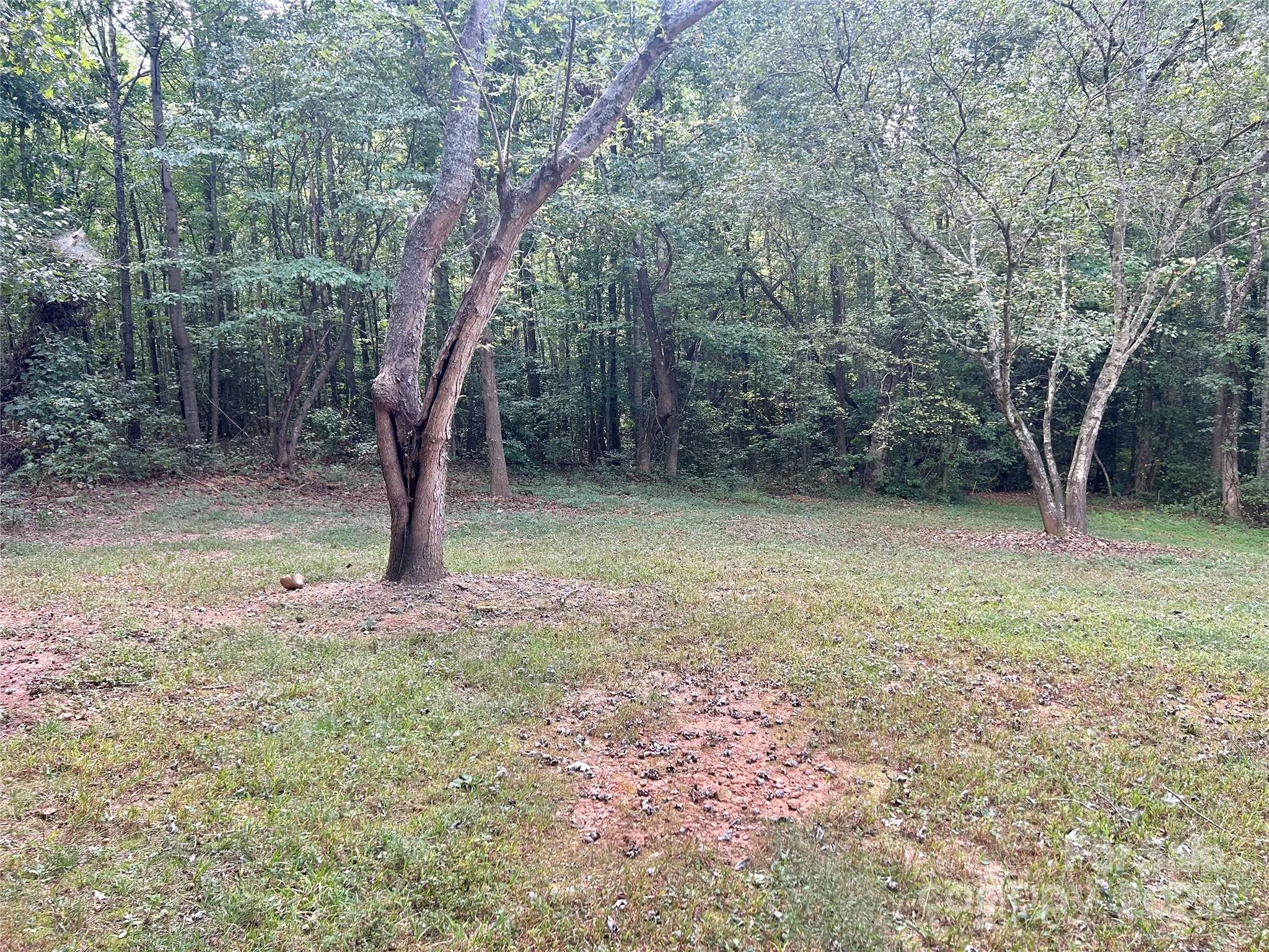 2012 Bison Trail Maiden, NC 28650 - Photo 27 of 28 Gallery Image 27