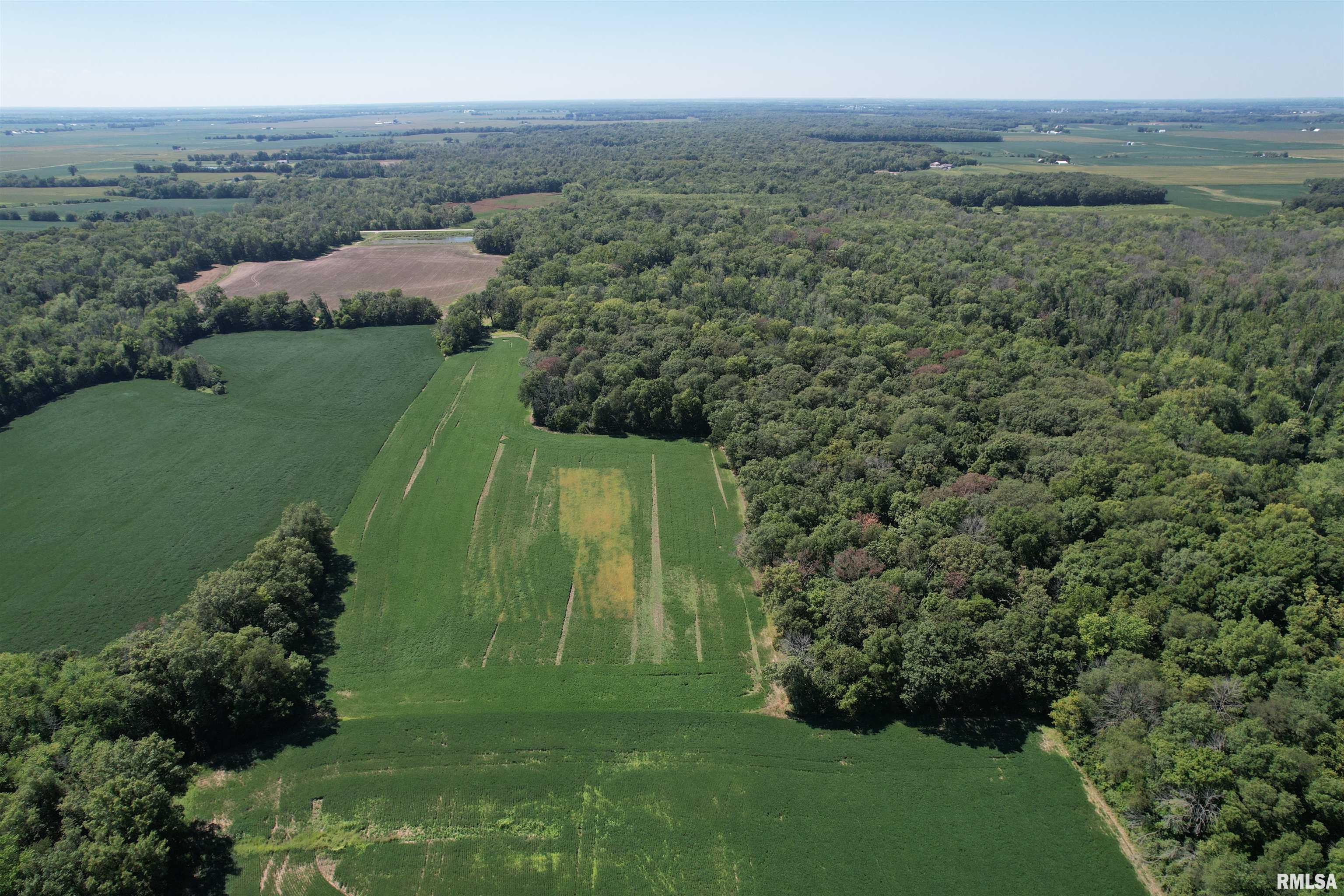 0 Hoffman Road Centralia, IL 62801 - Photo 11 of 36
