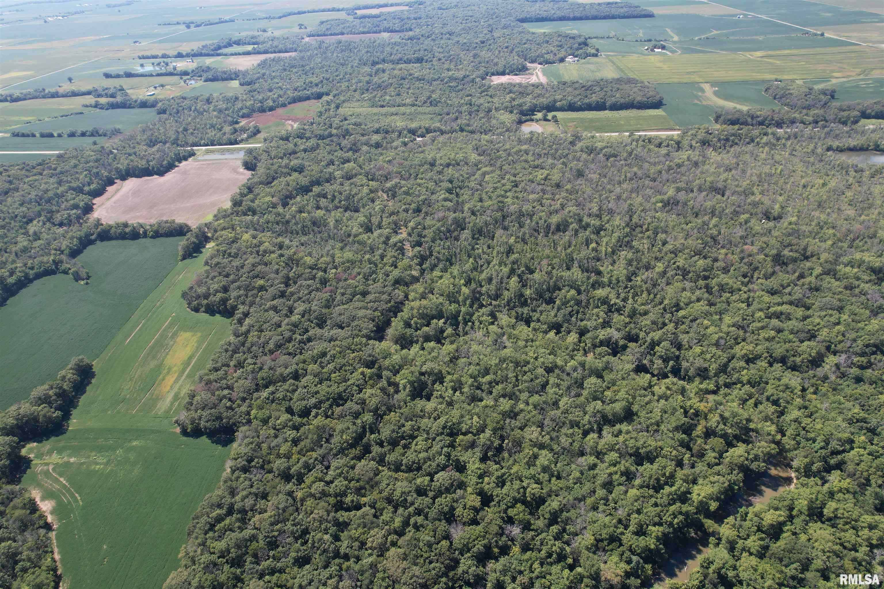0 Hoffman Road Centralia, IL 62801 - Photo 21 of 36