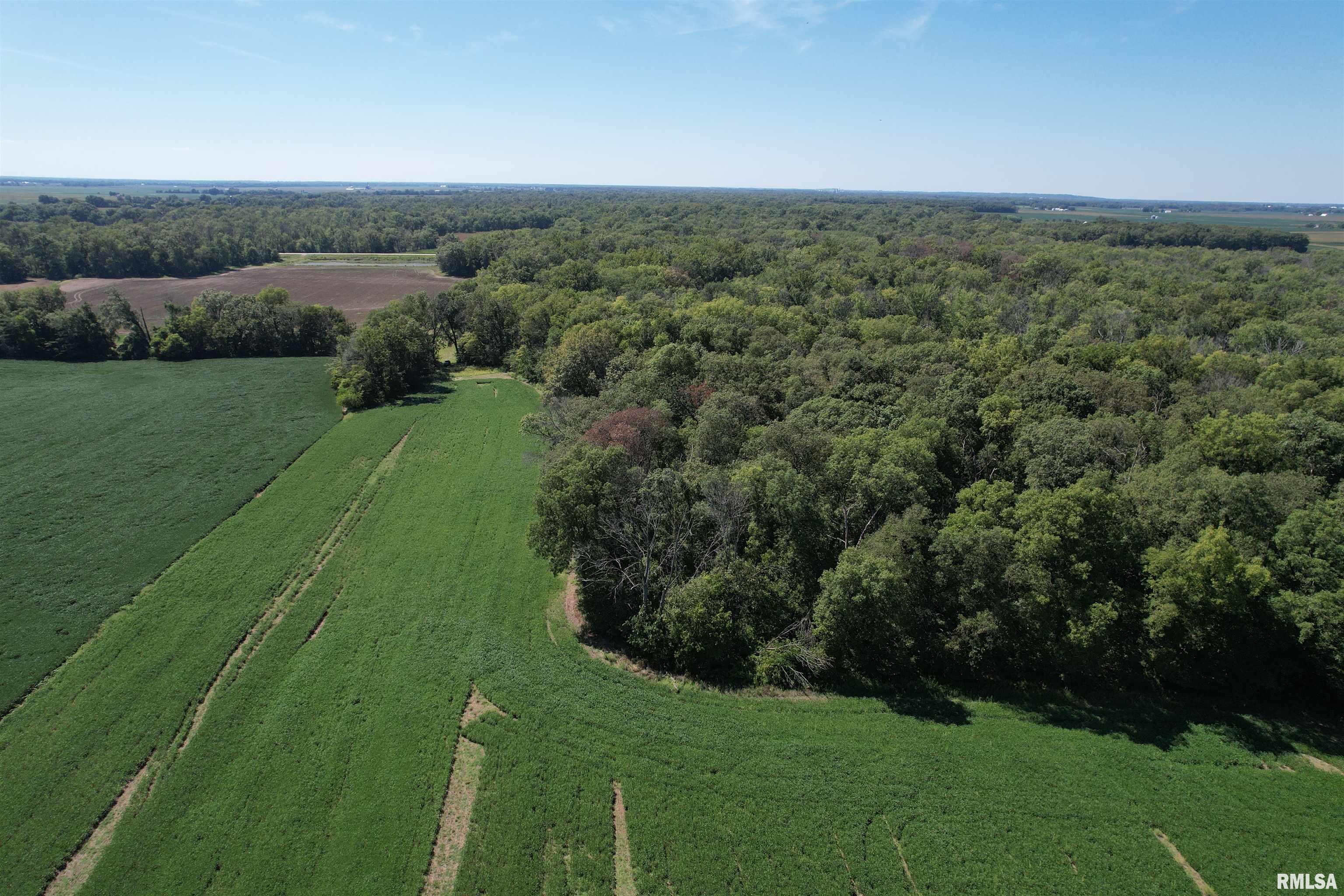 0 Hoffman Road Centralia, IL 62801 - Photo 23 of 36
