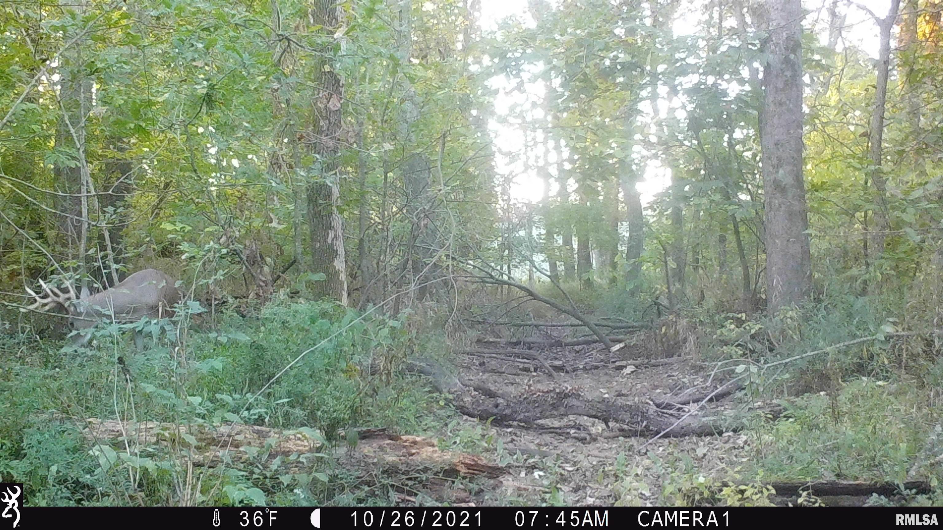 0 Hoffman Road Centralia, IL 62801 - Photo 24 of 36