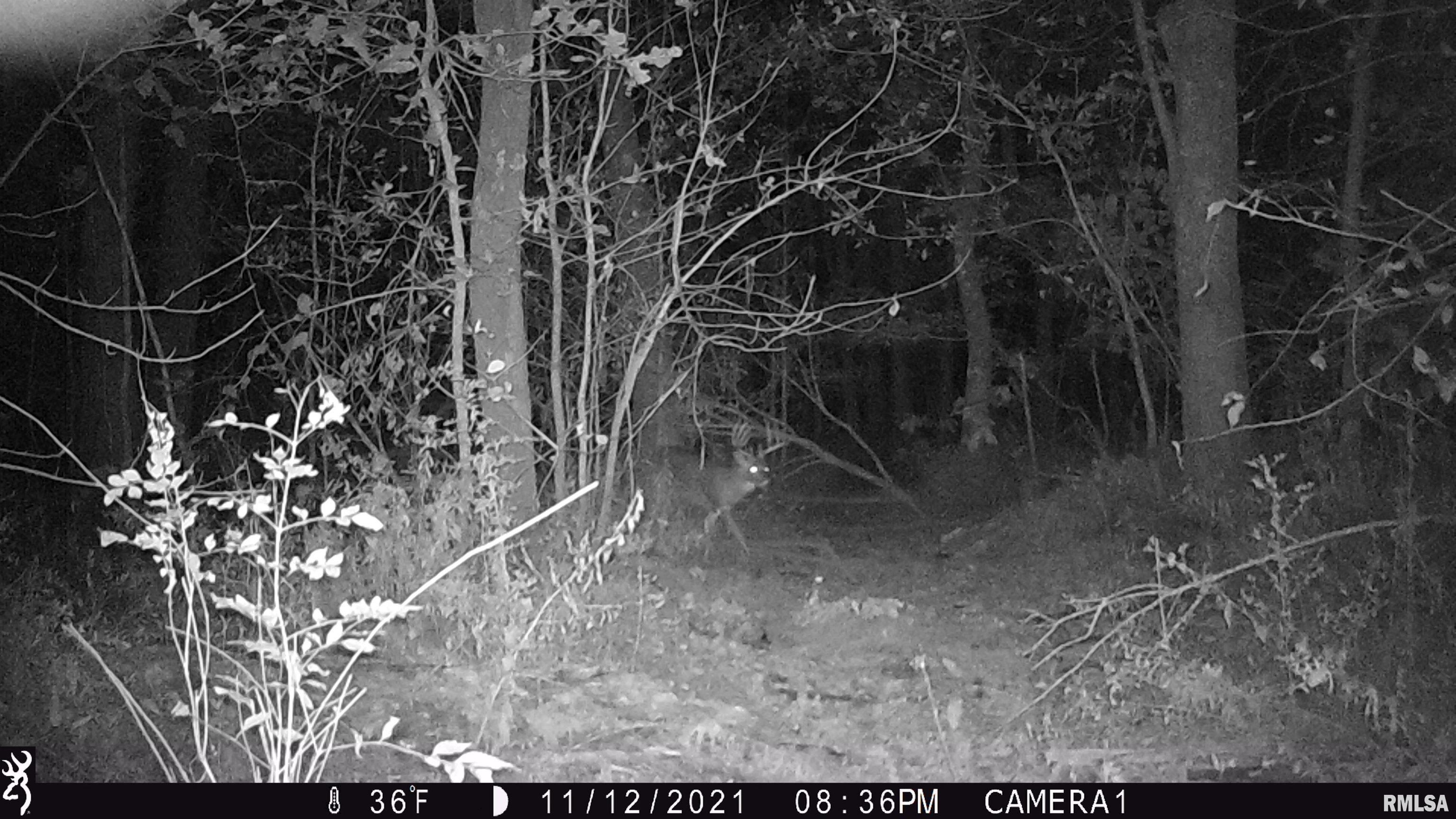 0 Hoffman Road Centralia, IL 62801 - Photo 25 of 36