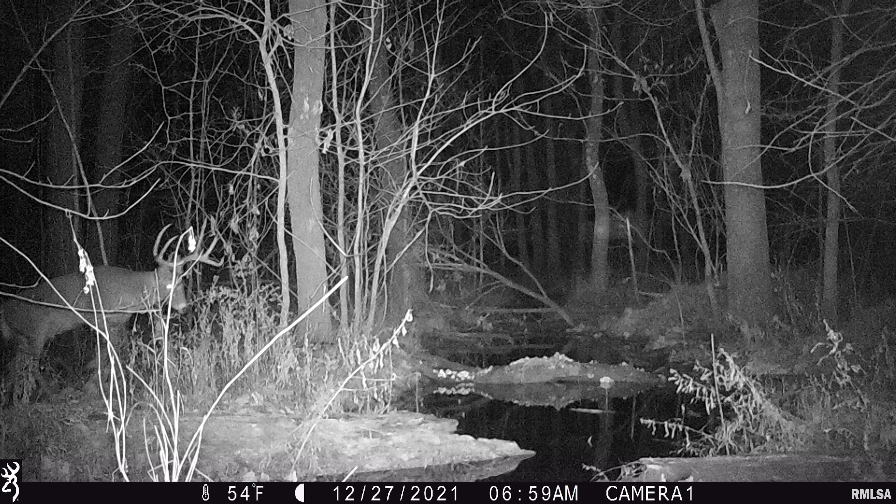 0 Hoffman Road Centralia, IL 62801 - Photo 26 of 36