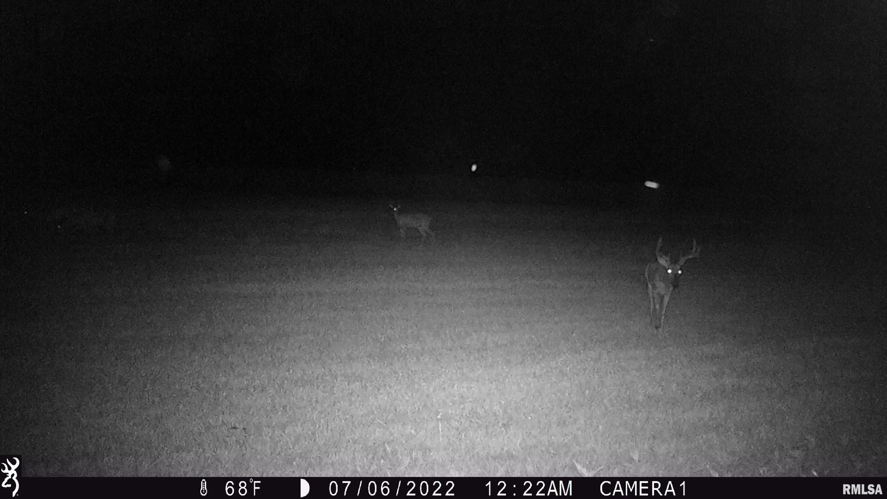 0 Hoffman Road Centralia, IL 62801 - Photo 27 of 36