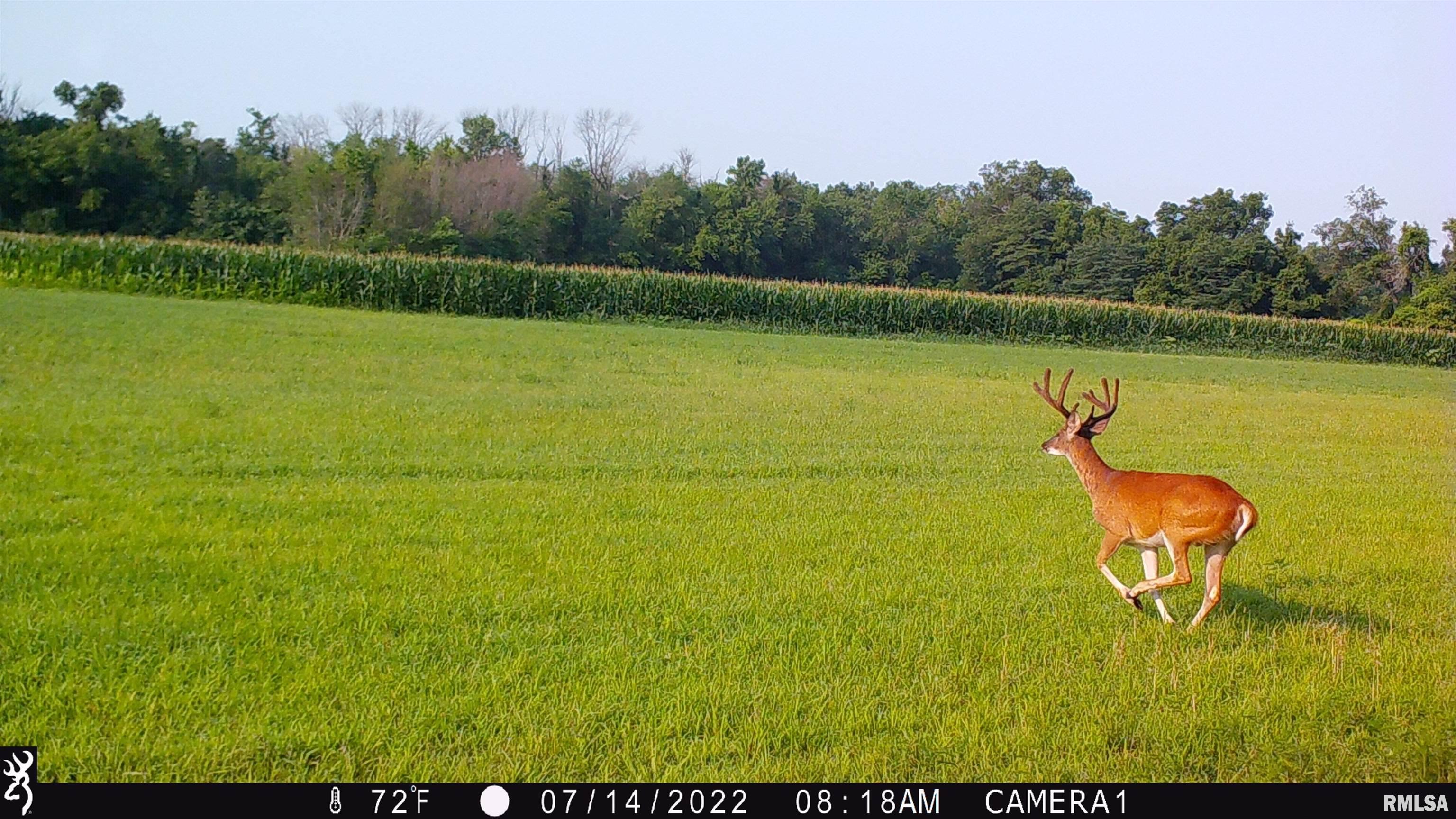 0 Hoffman Road Centralia, IL 62801 - Photo 28 of 36