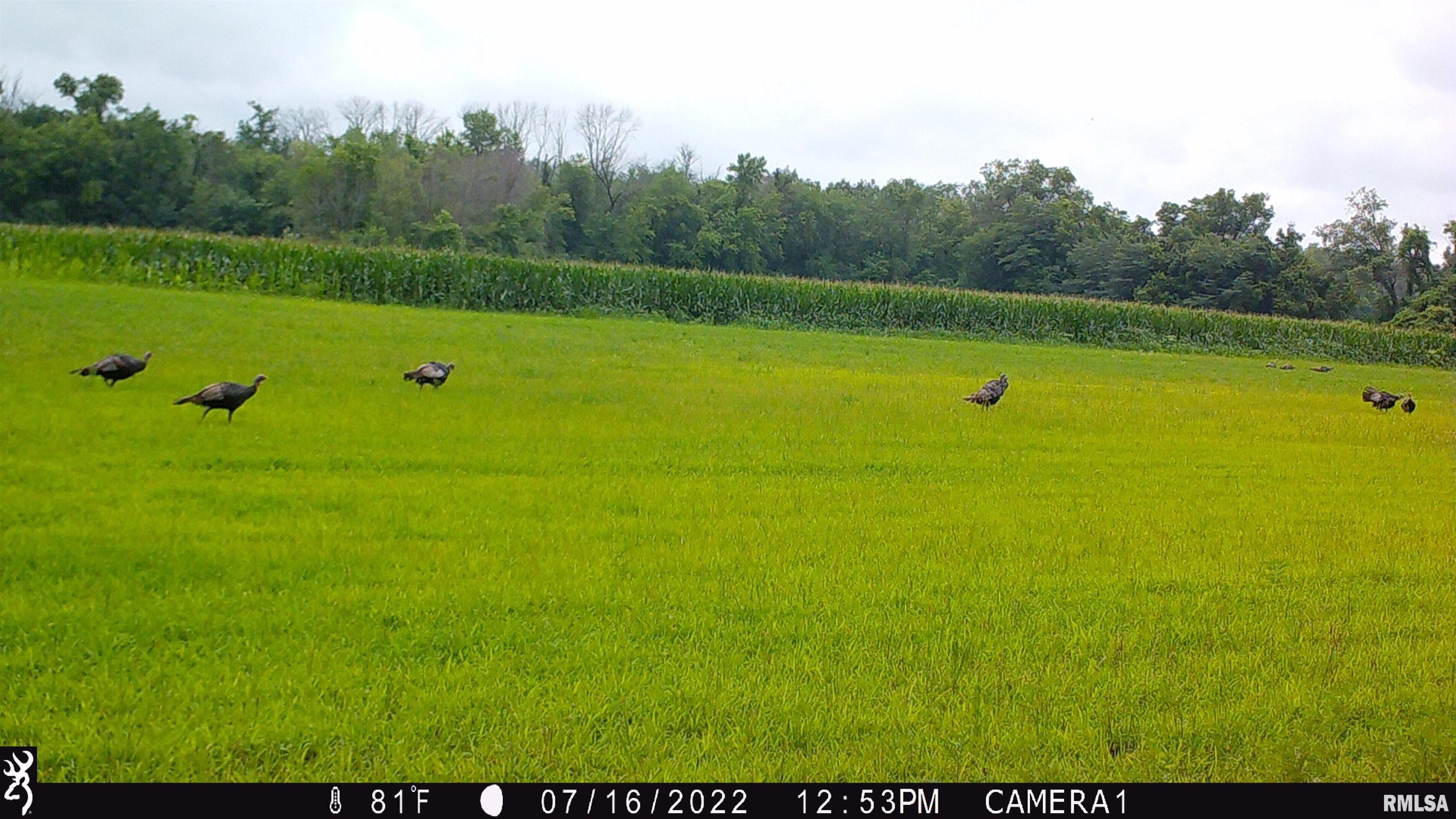 0 Hoffman Road Centralia, IL 62801 - Photo 29 of 36
