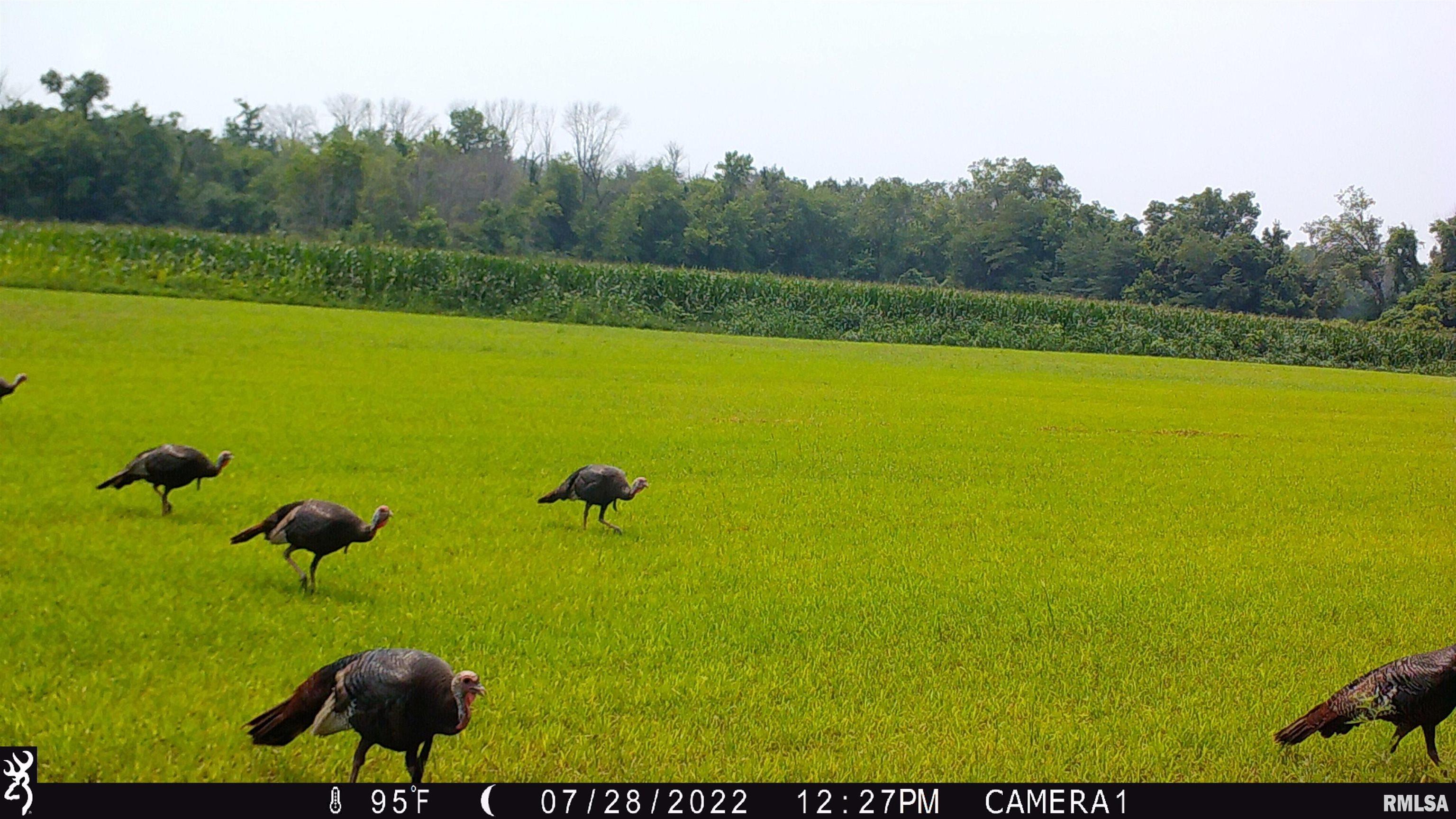 0 Hoffman Road Centralia, IL 62801 - Photo 30 of 36