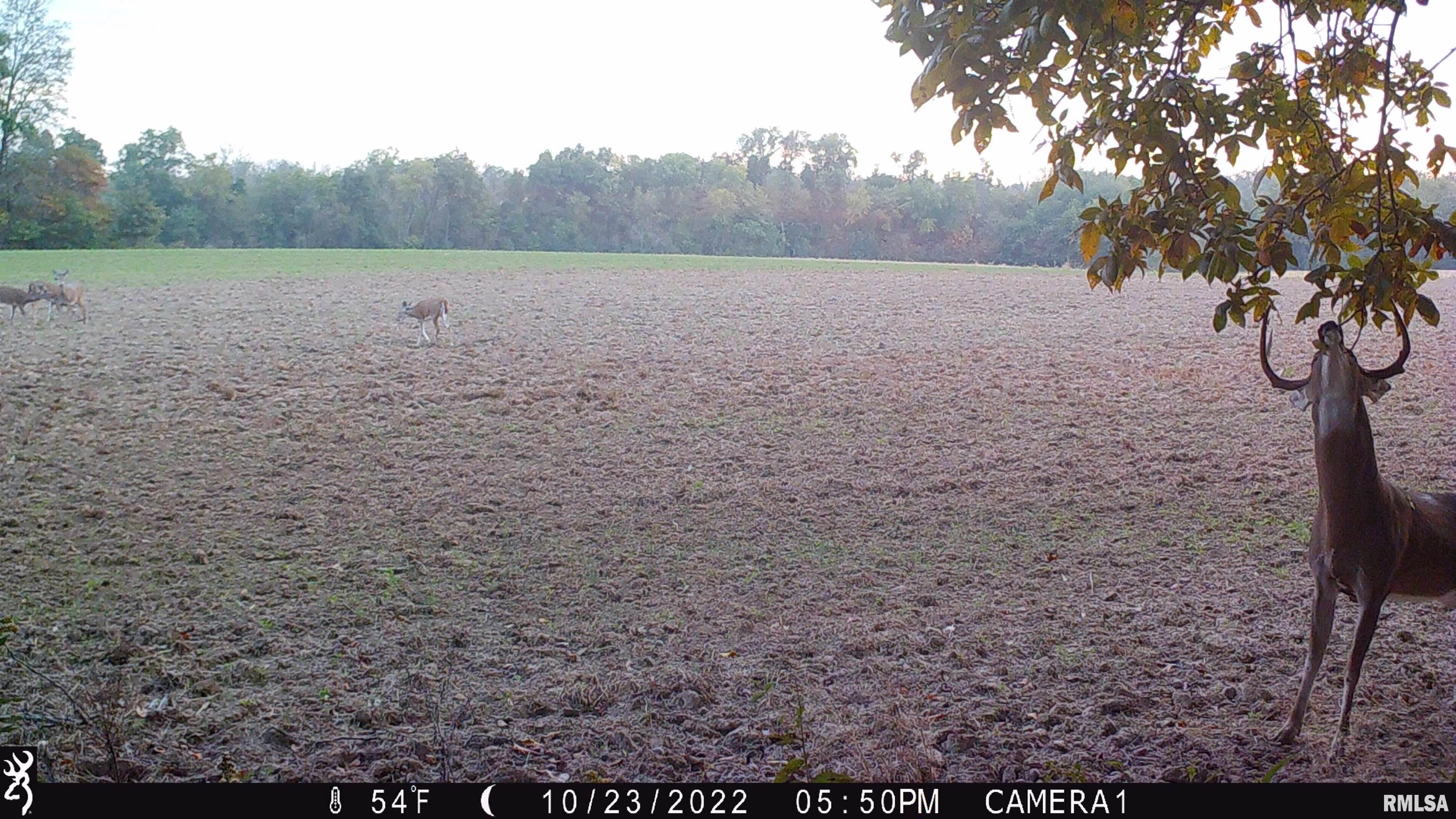 0 Hoffman Road Centralia, IL 62801 - Photo 31 of 36