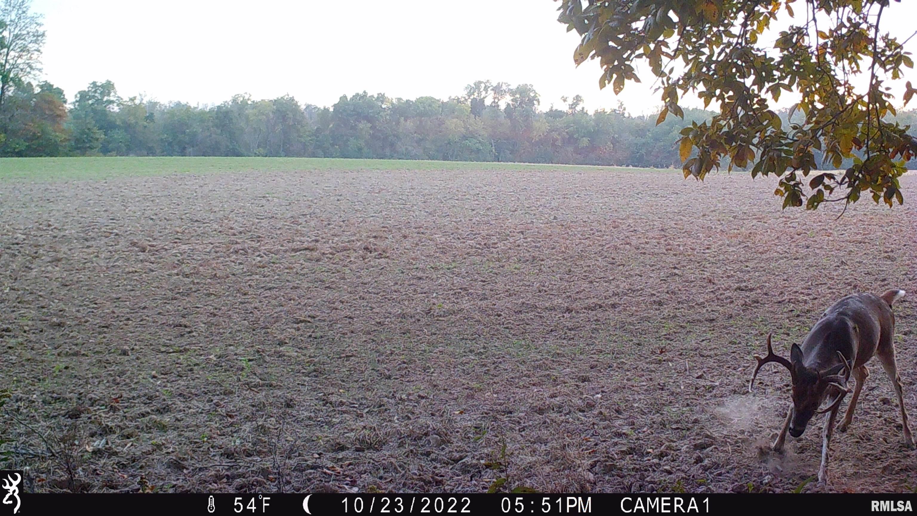 0 Hoffman Road Centralia, IL 62801 - Photo 32 of 36