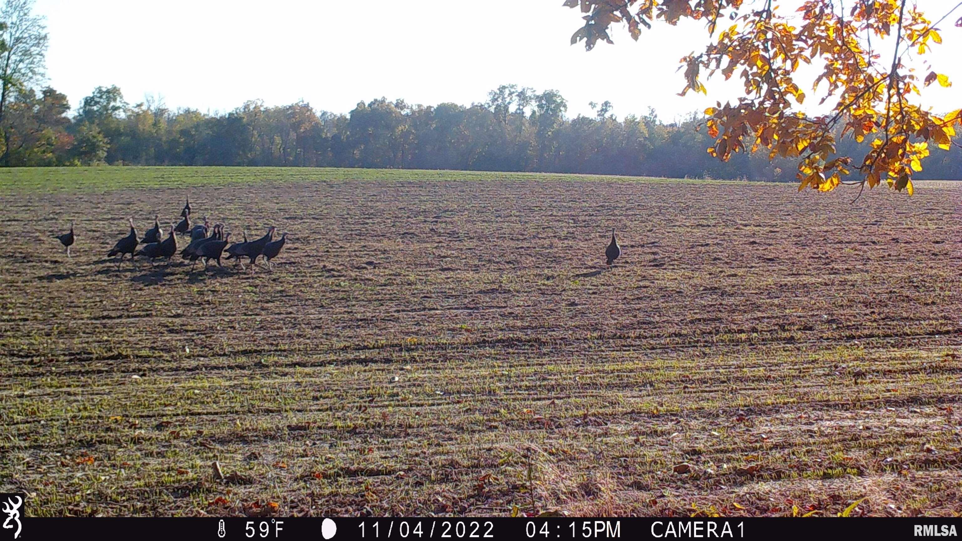 0 Hoffman Road Centralia, IL 62801 - Photo 33 of 36