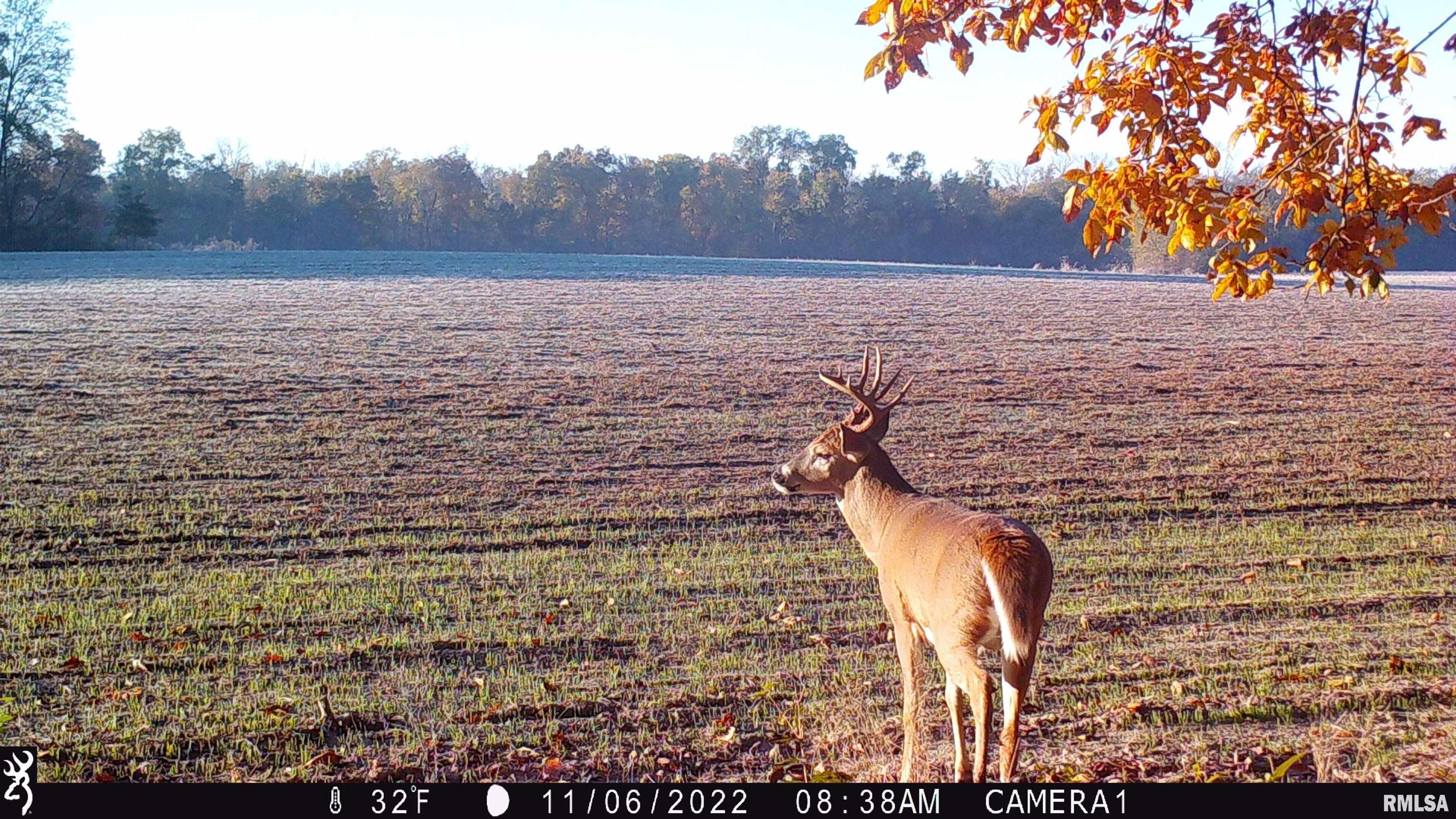 0 Hoffman Road Centralia, IL 62801 - Photo 34 of 36